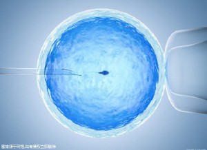 王主任